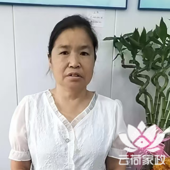 阿姨资料照片