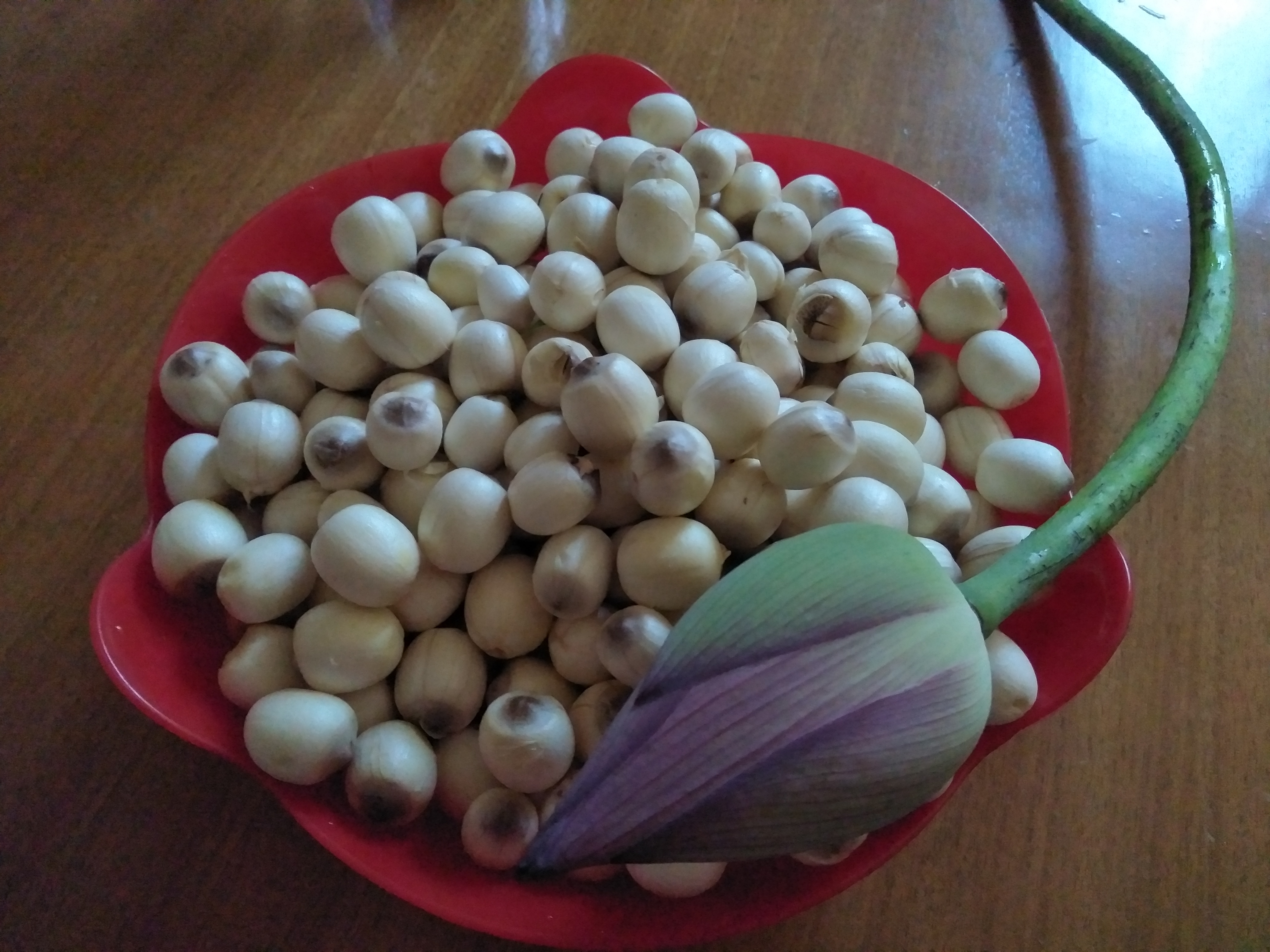 阿姨资料照片