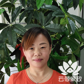 阿姨资料照片