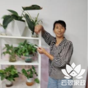 阿姨资料照片