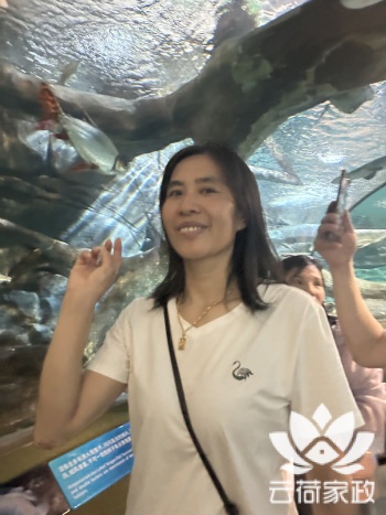 阿姨资料照片