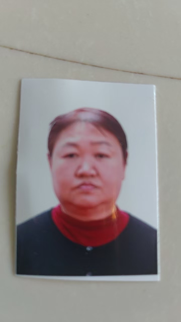 阿姨资料照片