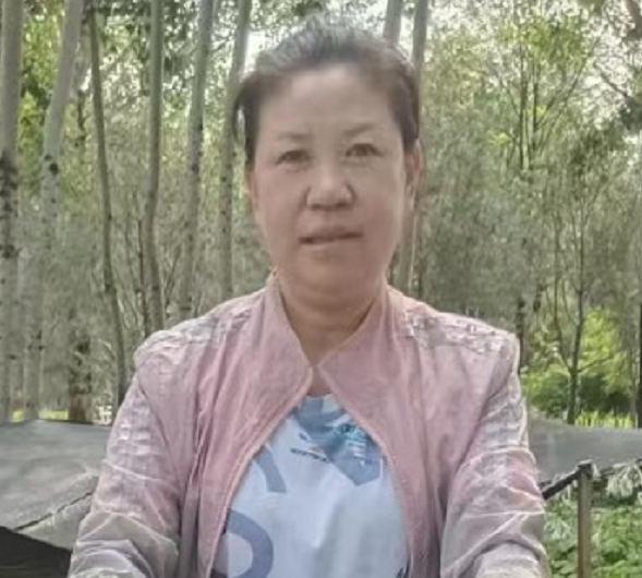 阿姨资料照片