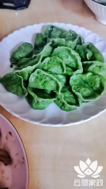 阿姨资料照片