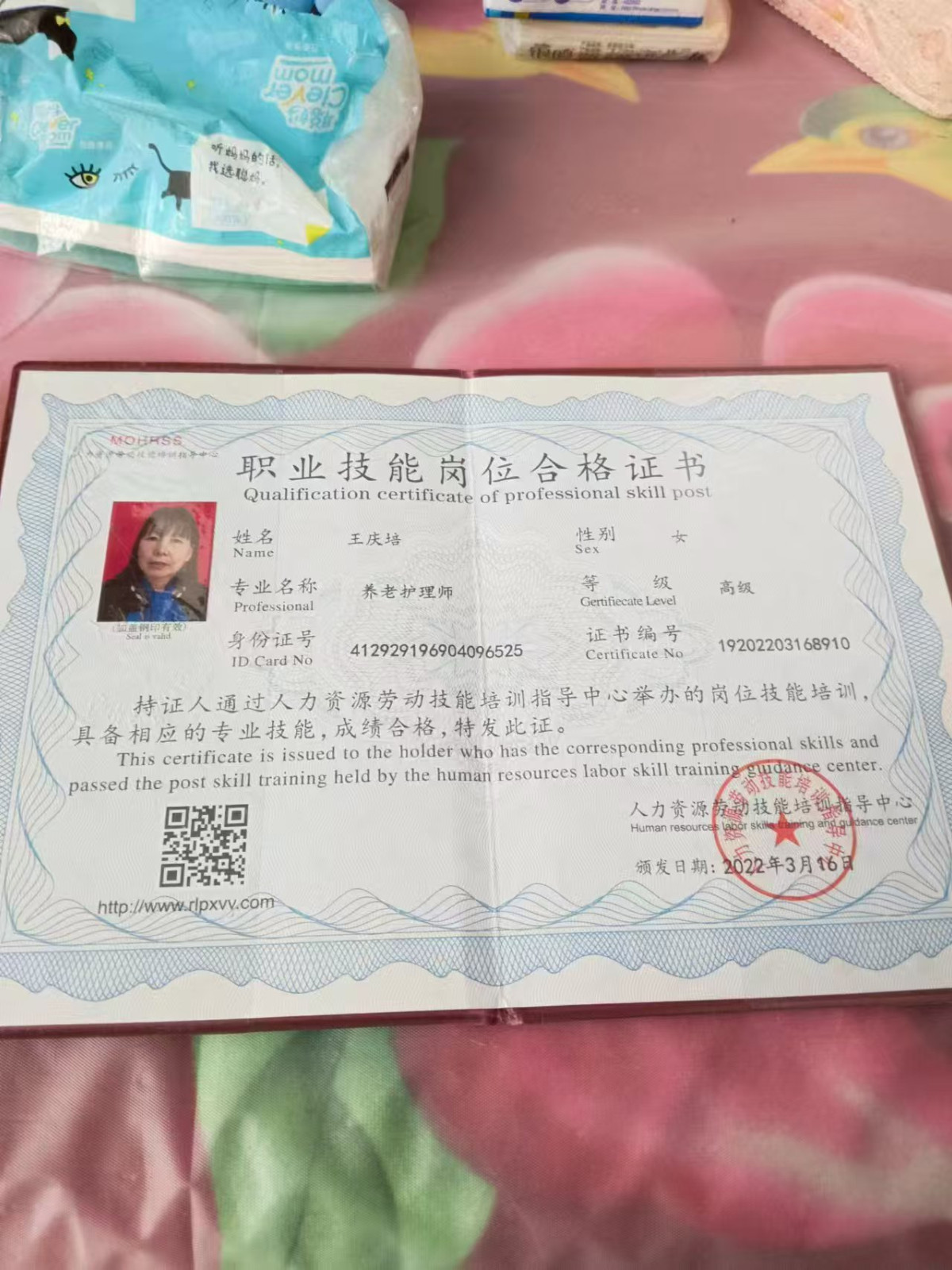 阿姨资料照片