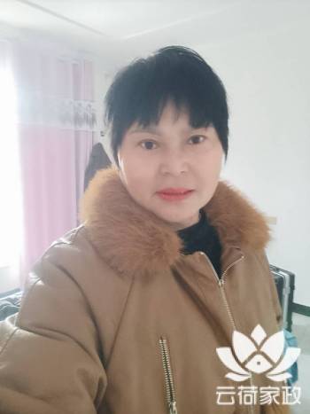 阿姨资料照片