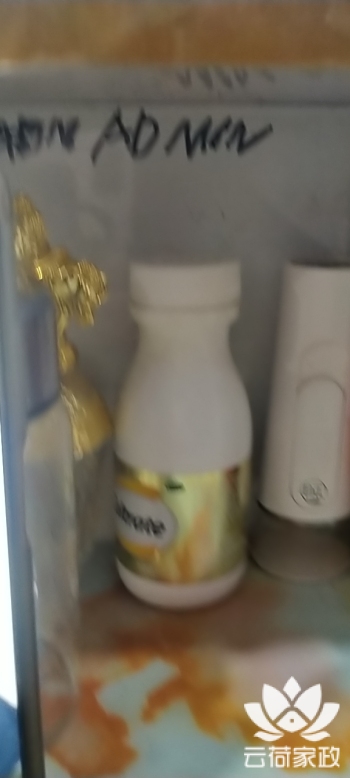 阿姨资料照片