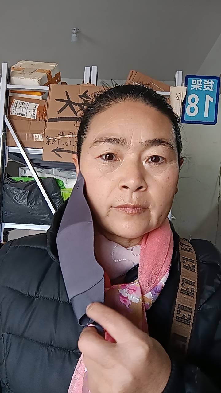 阿姨资料照片