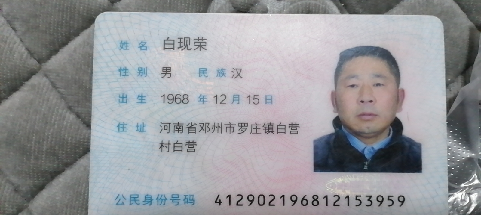 阿姨资料照片
