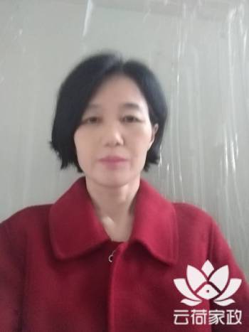 阿姨资料照片