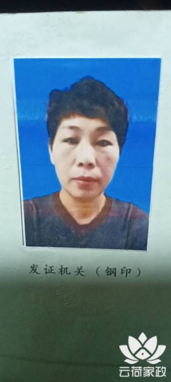 阿姨资料照片