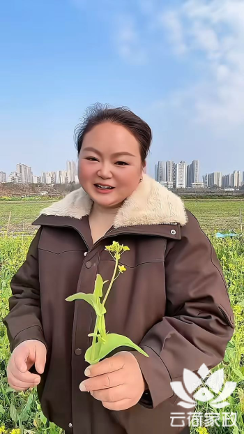 阿姨资料照片