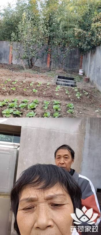 阿姨资料照片