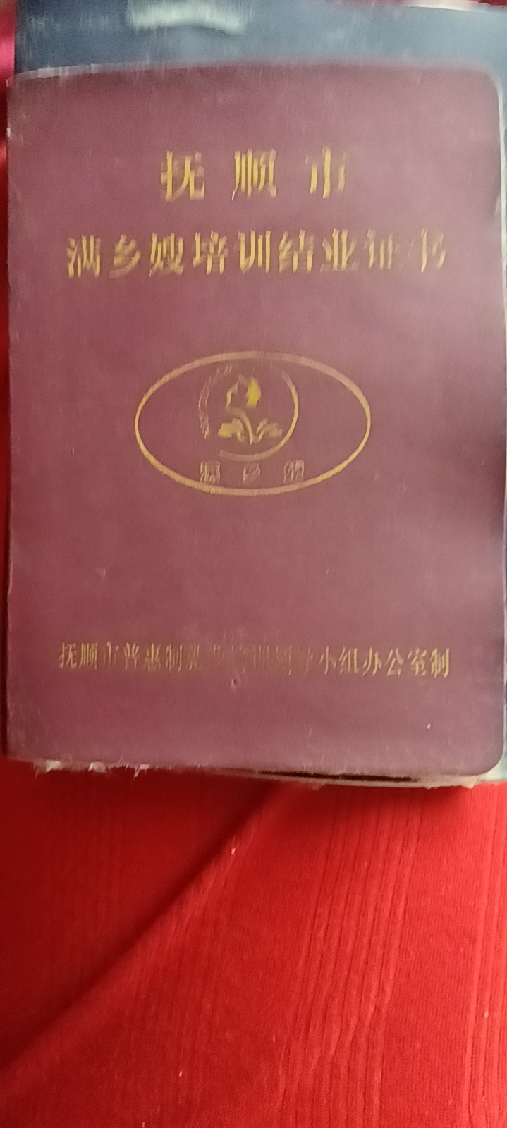 阿姨资料照片