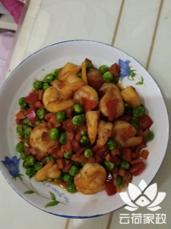 阿姨资料照片