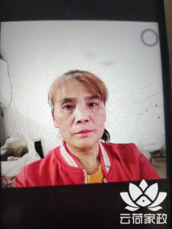 阿姨资料照片