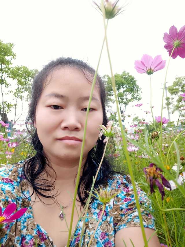 阿姨资料照片