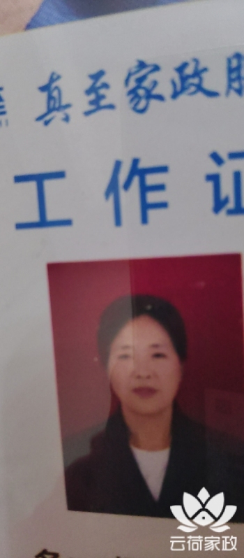 阿姨资料照片