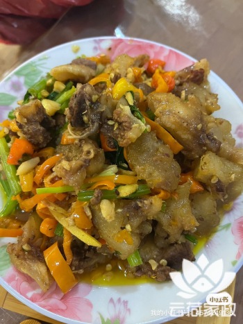 阿姨资料照片