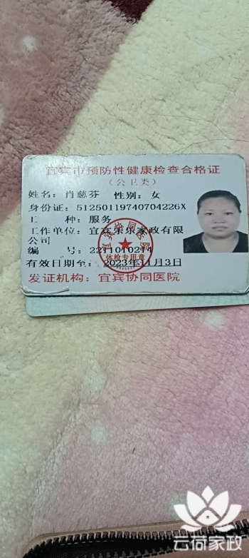 阿姨资料照片