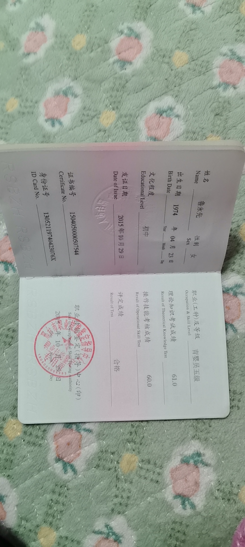 阿姨资料照片