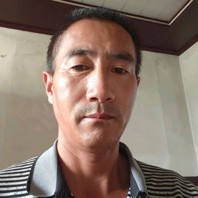 阿姨资料照片