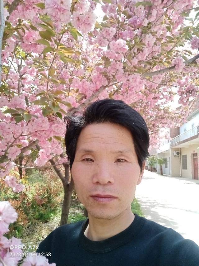 阿姨资料照片