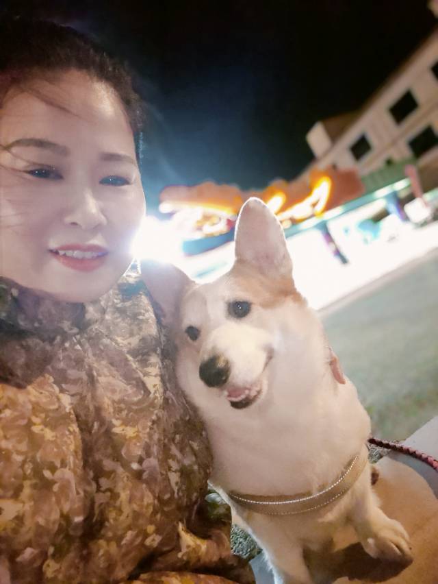 阿姨资料照片