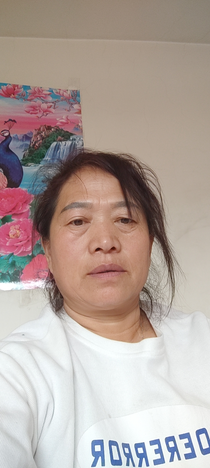 阿姨资料照片