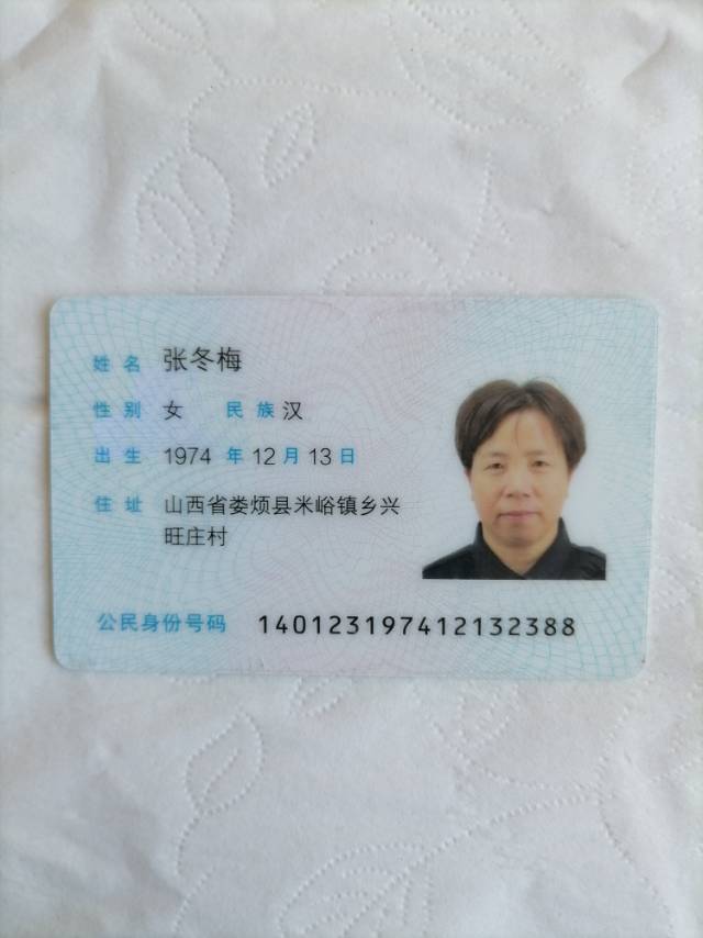 阿姨资料照片