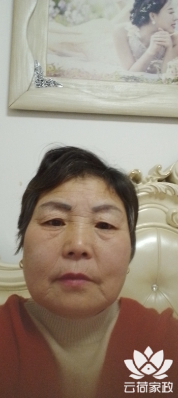 阿姨资料照片