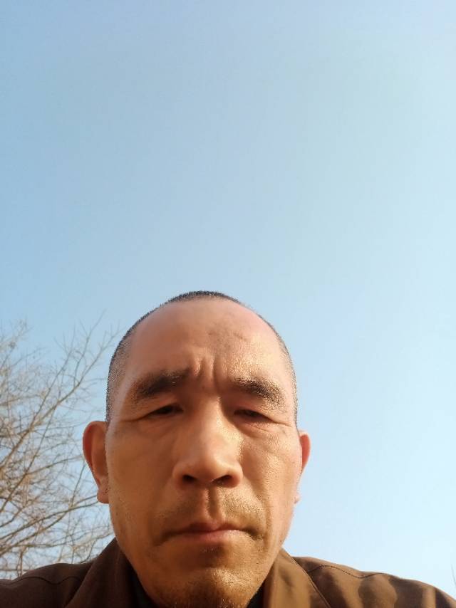 阿姨资料照片