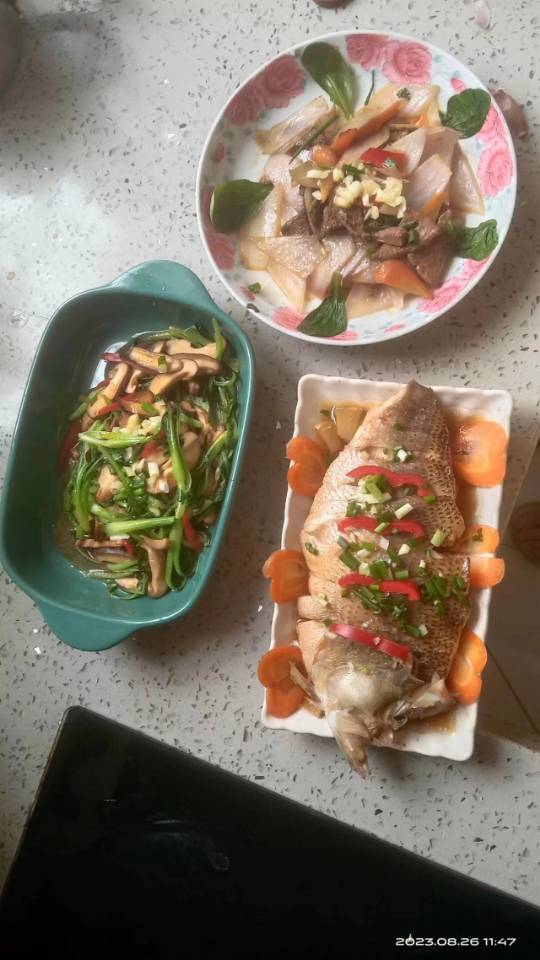 阿姨资料照片