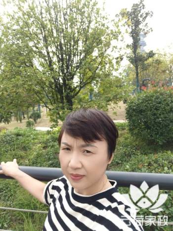 阿姨资料照片