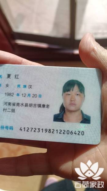 阿姨资料照片