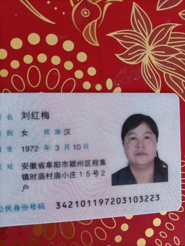 阿姨资料照片