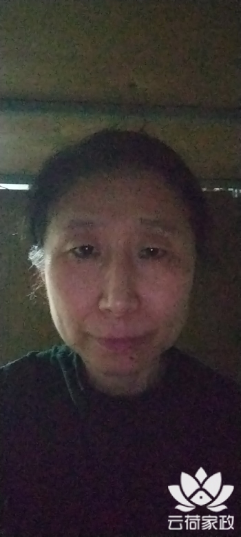 阿姨资料照片