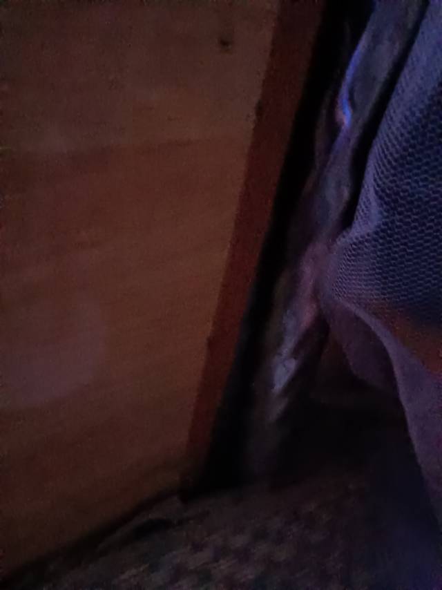 阿姨资料照片