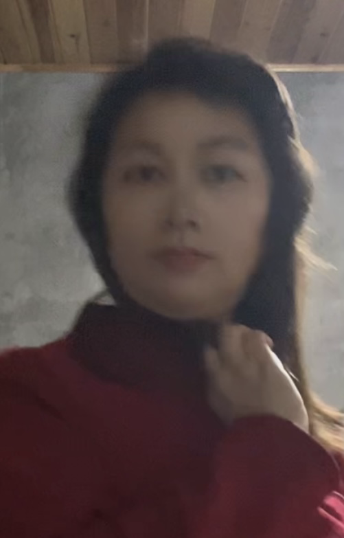 阿姨资料照片