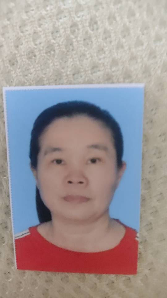 阿姨资料照片