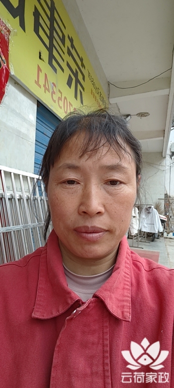 阿姨资料照片