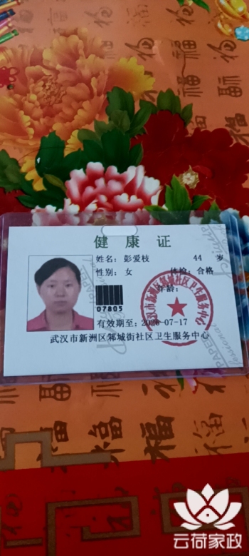 阿姨资料照片