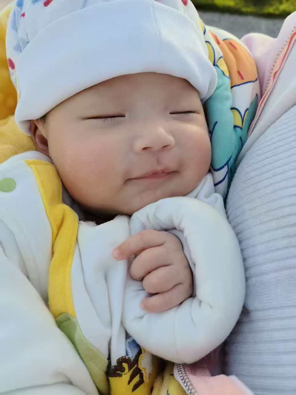 阿姨资料照片