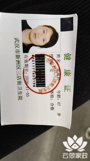 阿姨资料照片