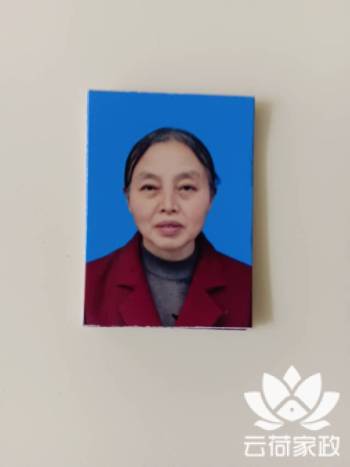 阿姨资料照片