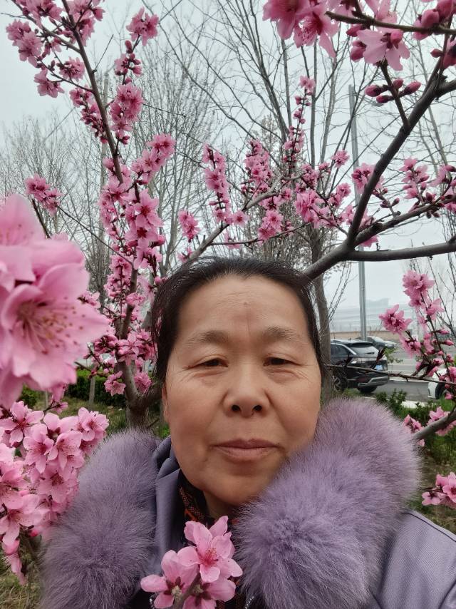 阿姨资料照片