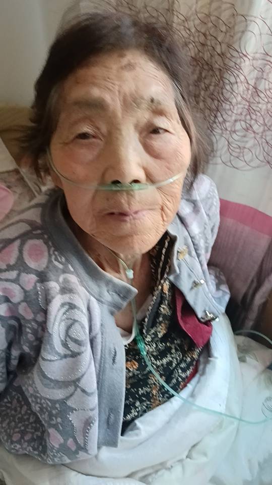阿姨资料照片