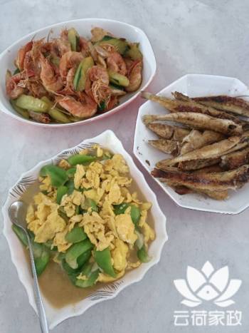阿姨资料照片