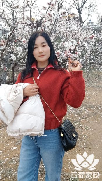 阿姨资料照片