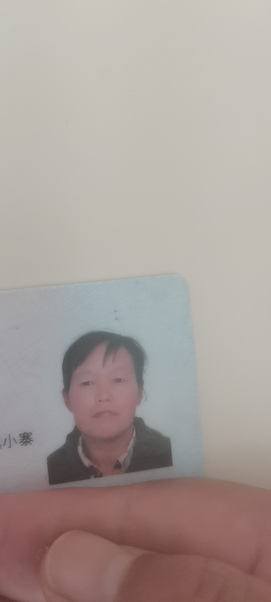 阿姨资料照片
